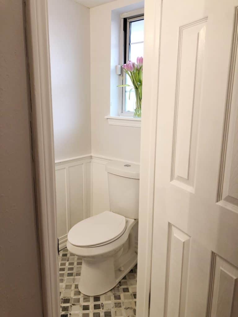 elongated toilet with tulips in window