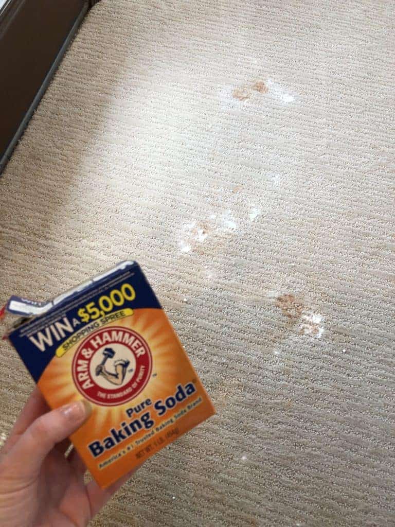 bicarbonate of soda on carpet