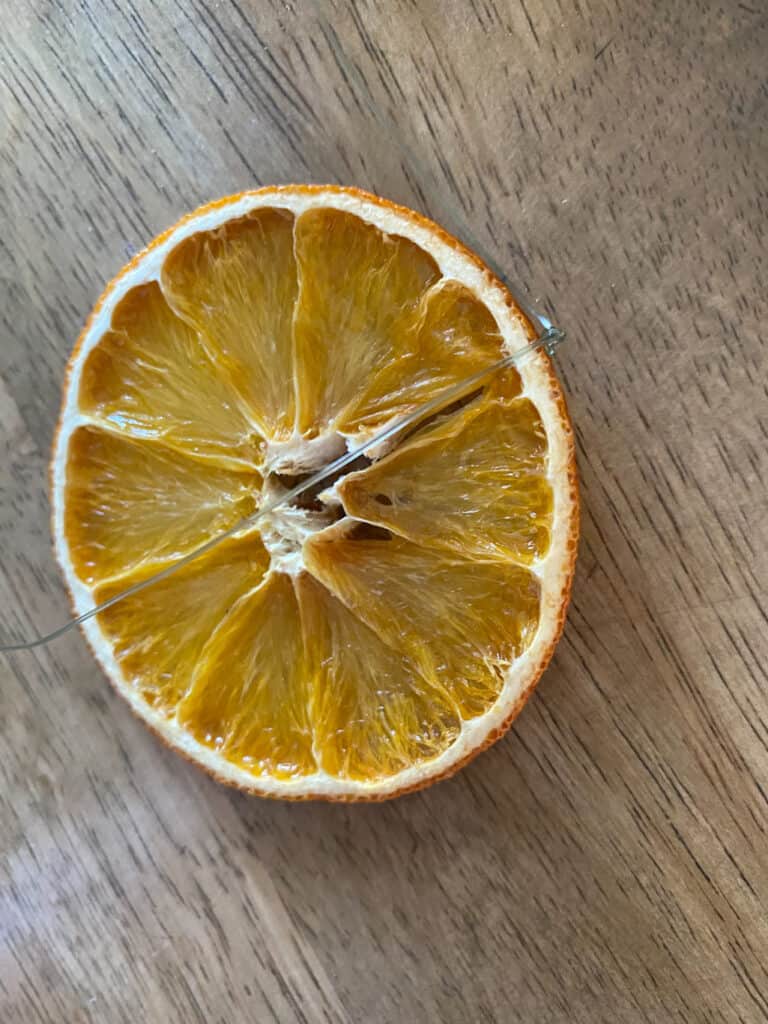 Dried orange slice