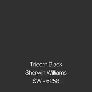 Tricorn Black Paint Sample by Sherwin Williams (6258) | Peel & Stick Paint Sample