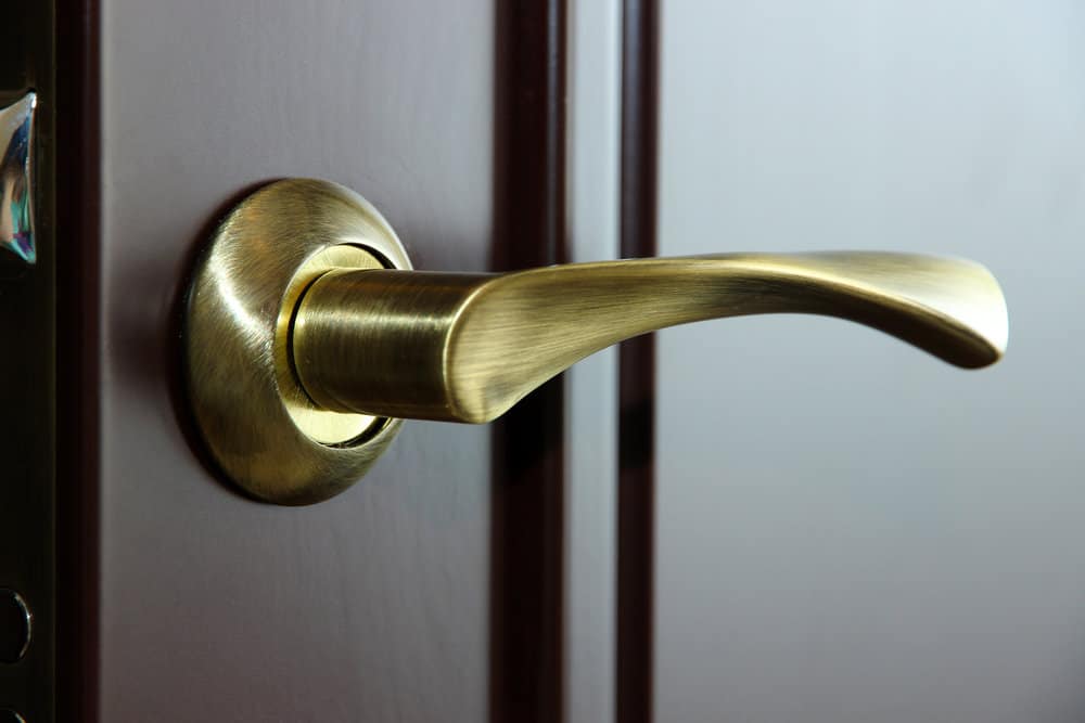 black interior doors with gold handles