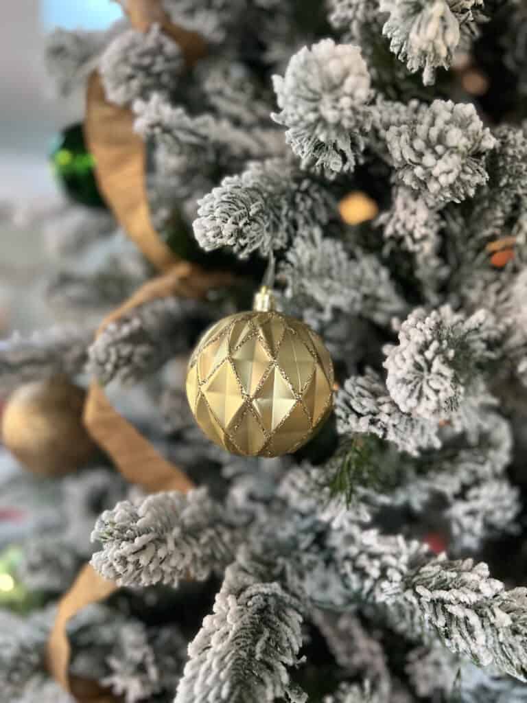 King of Christmas Trees: Worth the Hype? 3